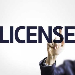 License Consultant